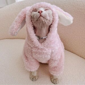 Sphynx Cat Clothes Cute Rabbit Fleece Hoodie